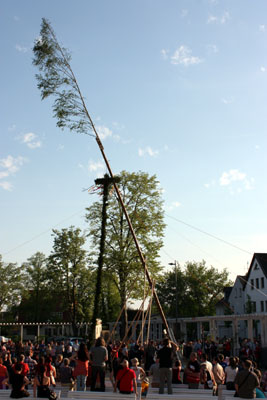 Foto des Albums: Maibaum aufstellen 2012