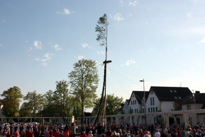 Foto des Albums: Maibaum aufstellen 2012