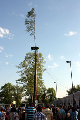 Foto des Albums: Maibaum aufstellen 2012