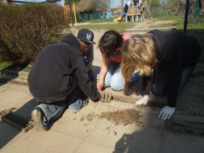 Foto des Albums: Frühjahrsputz