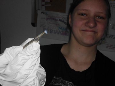 Foto des Albums: Die Klasse 5a präpariert Fische