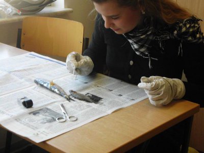 Foto des Albums: Die Klasse 5a präpariert Fische