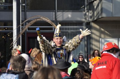 Foto des Albums: Karneval 2011