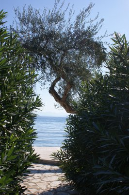 Foto des Albums: Jugendreise Korfu 2011