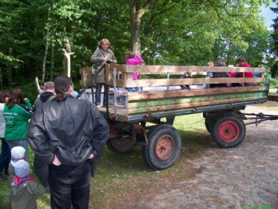 Foto des Albums: Kindertagsfest in Lindenberg