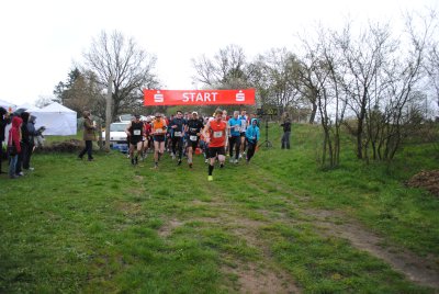 Foto des Albums: 2. Rambower Moorlauf