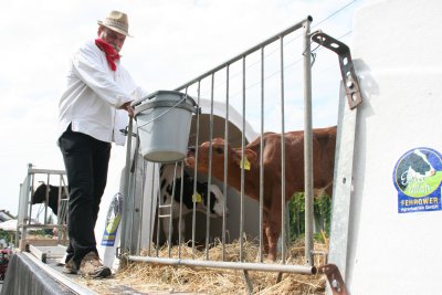 ...auch mit Nachwuchs aus der Fehrower Milchviehanlage.  (Bild vergr&ouml;&szlig;ern)