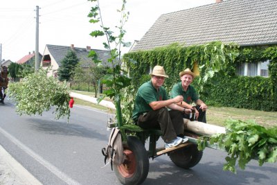 Maibaumstellen  (Bild vergr&ouml;&szlig;ern)