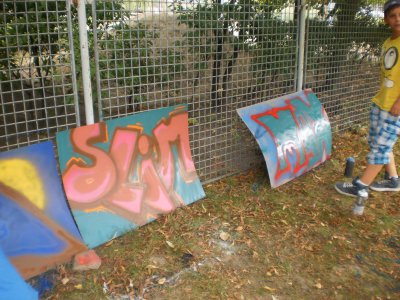 Foto des Albums: Schulsozialarbeit Graffiti Projekt (28. 08. 2012)
