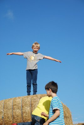 Ich fliege.... 