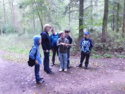 Foto des Albums: Eindrücke vom Waldfest 2012