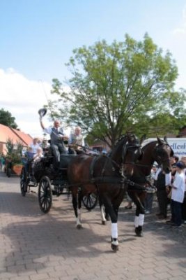 Foto des Albums: Erntefest 2012 in Kremmen (02. 09. 2012)