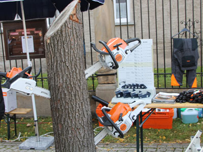 Foto des Albums: Fotos vom Holzmarkt in Gehofen am 13. Oktober