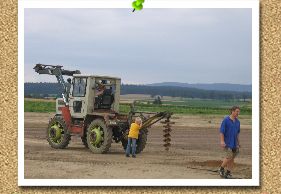 Die L&ouml;cher f&uuml;r den Zaun werden gebohrt  