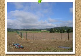 Der Zaunbau beginnt 