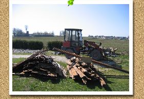 Die Schuppen sind weg  