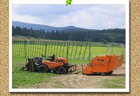 Der erste Rasenschnitt  
