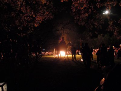 Hier reitet St. Martin am Feuer entlang. 