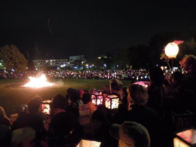 Das ist unser Blick auf die Wiese und das Feuer. 