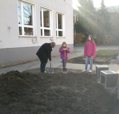 Foto des Albums: Projekt "Schulhofgestaltung" (21. 11. 2012)
