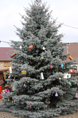 Foto des Albums: Weihnachtsmarkt Gehofen 2012