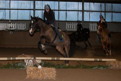 Foto des Albums: Weihnachtsfeier 2012