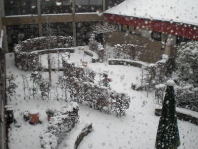 Foto des Albums: Es schneit... (07.12.2012)