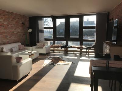 Foto des Albums: HeideZeit 3