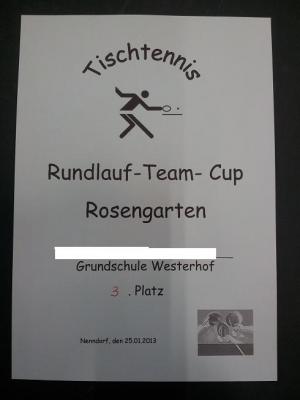 Foto des Albums: Tischtennis - Cup der Rosengartenschulen (25.01.2013)