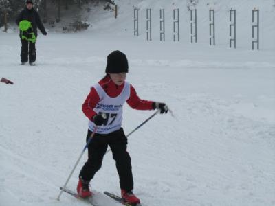 Foto des Albums: 14. "Rund um den Nesselberg" 27.01.2013