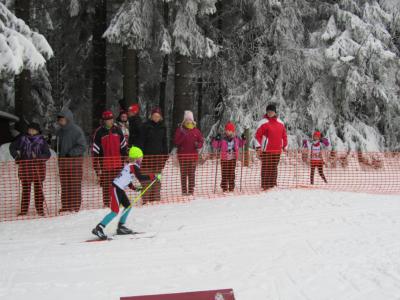 Foto des Albums: 14. "Rund um den Nesselberg" 27.01.2013