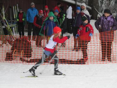 Foto des Albums: 14. "Rund um den Nesselberg" 27.01.2013