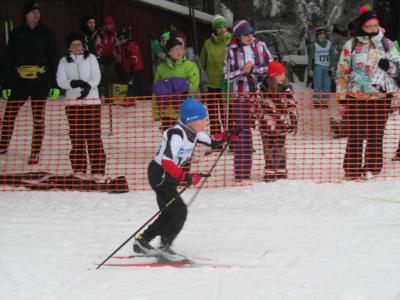 Foto des Albums: 14. "Rund um den Nesselberg" 27.01.2013
