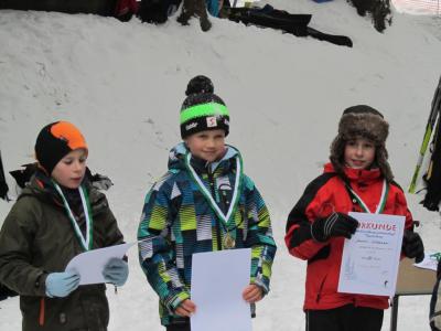 Foto des Albums: 14. "Rund um den Nesselberg" 27.01.2013