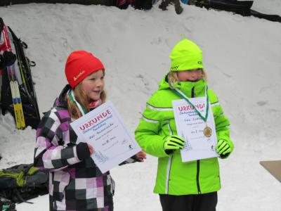 Foto des Albums: 14. "Rund um den Nesselberg" 27.01.2013