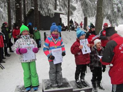 Foto des Albums: 14. "Rund um den Nesselberg" 27.01.2013