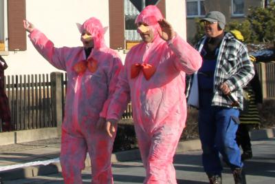 Foto des Albums: Schnappschüsse vom Karnevalsumzug 2013