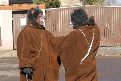 Foto des Albums: Schnappschüsse vom Karnevalsumzug 2013