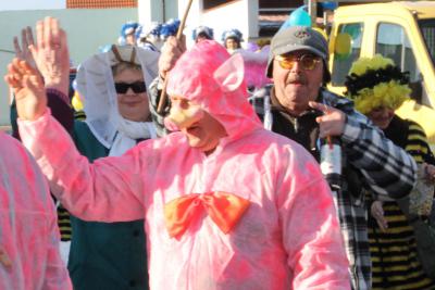 Foto des Albums: Schnappschüsse vom Karnevalsumzug 2013