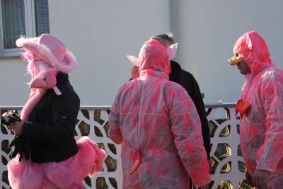 Foto des Albums: Schnappschüsse vom Karnevalsumzug 2013
