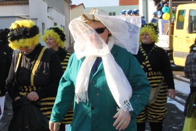 Foto des Albums: Schnappschüsse vom Karnevalsumzug 2013