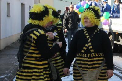 Foto des Albums: Schnappschüsse vom Karnevalsumzug 2013