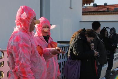 Foto des Albums: Schnappschüsse vom Karnevalsumzug 2013