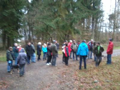 Foto des Albums: Neujahrswanderung ins Festjahr 2013
