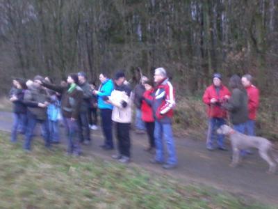 Foto des Albums: Neujahrswanderung ins Festjahr 2013