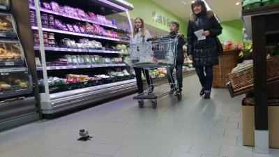 Foto des Albums: Pausenbrote