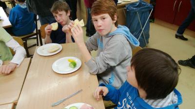 Foto des Albums: Pausenbrote