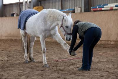 Foto des Albums: Zirkuslektionen mit Sady (Sylvia Czarnecki) 30.03 und 31.03.201