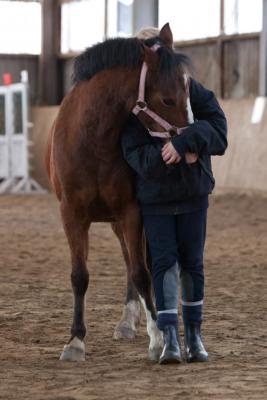 Foto des Albums: Zirkuslektionen mit Sady (Sylvia Czarnecki) 30.03 und 31.03.201