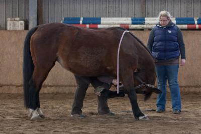 Foto des Albums: Zirkuslektionen mit Sady (Sylvia Czarnecki) 30.03 und 31.03.201